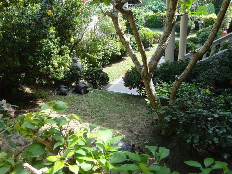 Holiday Village And Natural Garden Resort Phuket Extérieur photo